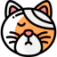 Cat 图标 64x64