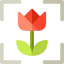 Macro icon 64x64