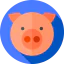 Pig icon 64x64