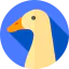 Duck icon 64x64