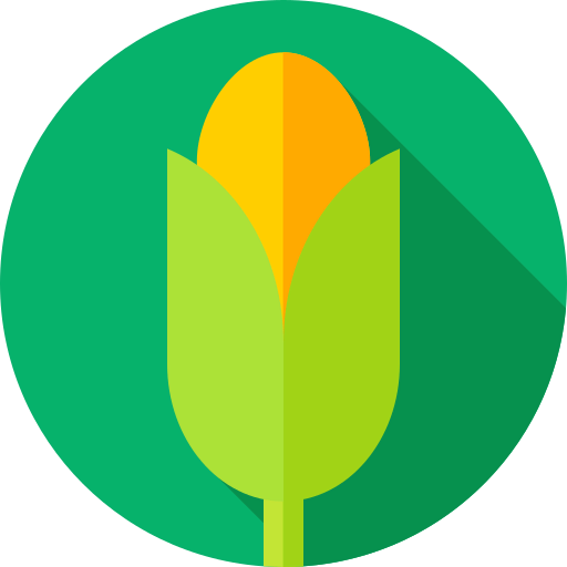Corn icon