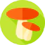 Mushroom icon 64x64