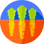 Carrots icon 64x64