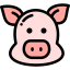 Pig ícono 64x64