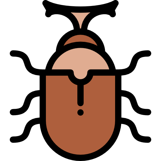 Beetle icon