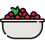Cranberry icon 64x64