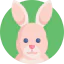 Easter bunny icon 64x64