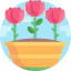 Тюльпан иконка 64x64