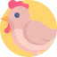 Hen icon 64x64