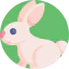 Easter bunny icon 64x64