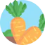 Carrot icon 64x64