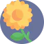 Flower icon 64x64
