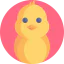 Chicken icon 64x64
