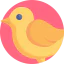 Chicken icon 64x64