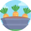 Carrot icon 64x64