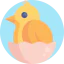 Chicken icon 64x64