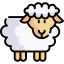 Sheep icon 64x64