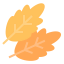 Leaf icon 64x64