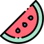 Watermelon icon 64x64