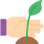 Sprout icon 64x64