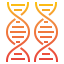 Dna ícono 64x64