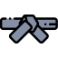 Black belt icon 64x64