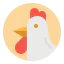 Chicken icon 64x64