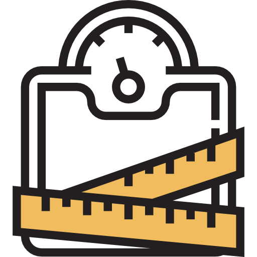 Scale icon