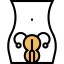 Pap icon 64x64