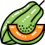 Papaya 상 64x64