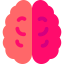 Brain icon 64x64