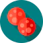 Pepperoni icon 64x64