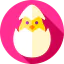 Chicken icon 64x64