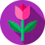 Тюльпан иконка 64x64