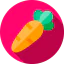 Carrot icon 64x64