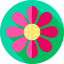 Flower icon 64x64