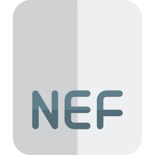 Raw file icon