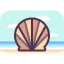 Shell 图标 64x64