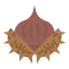 Chestnut icon 64x64