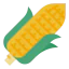 Corn icon 64x64