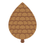 Pine cone icon 64x64