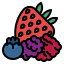 Berries icon 64x64