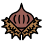 Chestnut icon 64x64