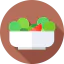 Salad アイコン 64x64