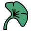 Ginko icon 64x64
