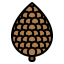 Pine cone icon 64x64