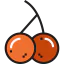 Cherry 图标 64x64