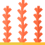 Seaweed 图标 64x64