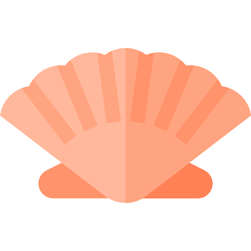 Seashell icon