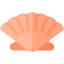 Seashell 图标 64x64